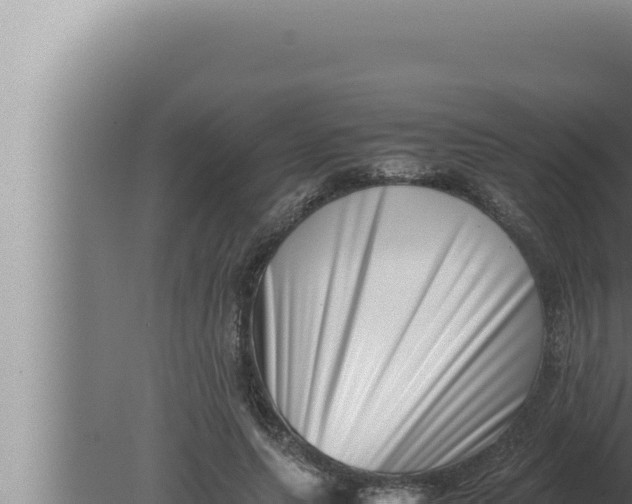 X0000080110639200612221806