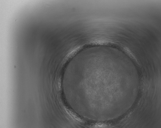 X0000080110640200612221806