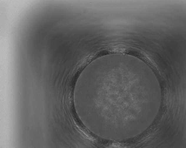 X0000080110641200612221806