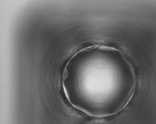 X0000080110642200612221806