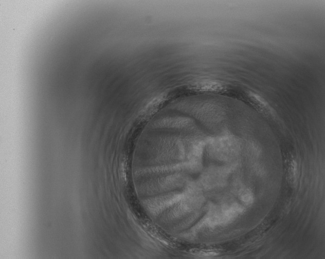 X0000080110643200612221806