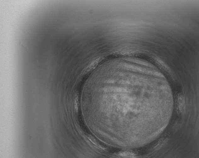 X0000080110644200612221806