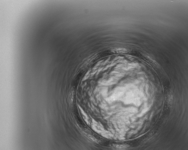 X0000080110645200612221806