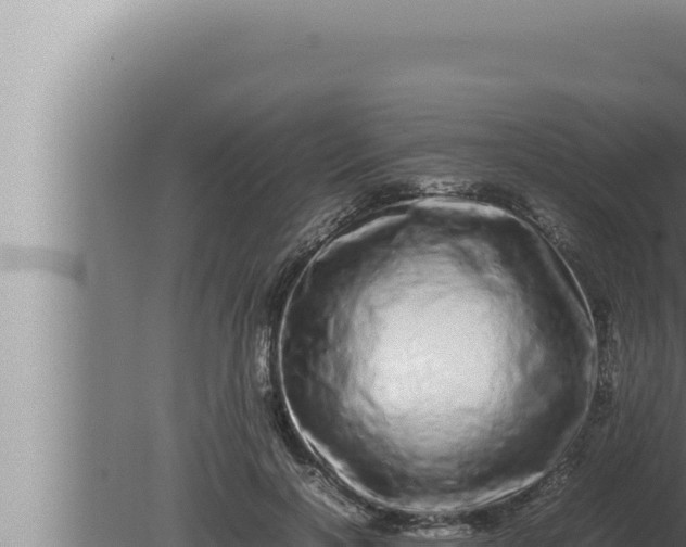 X0000080110646200612221806