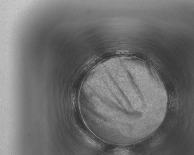 X0000080110648200612221806