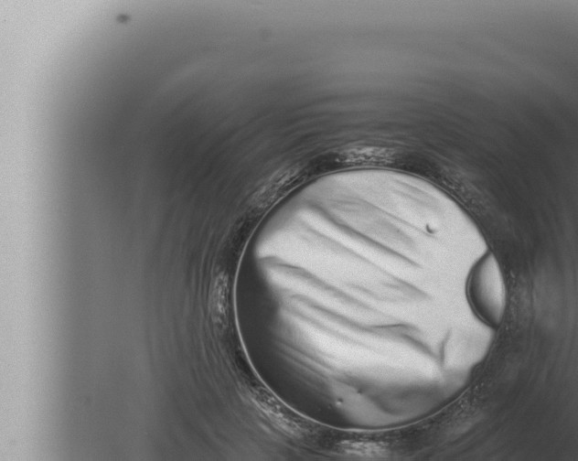 X0000080110649200612221806