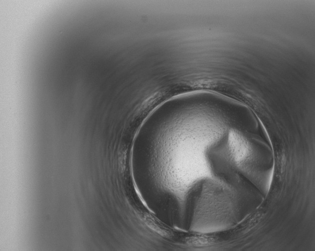 X0000080110652200612221806