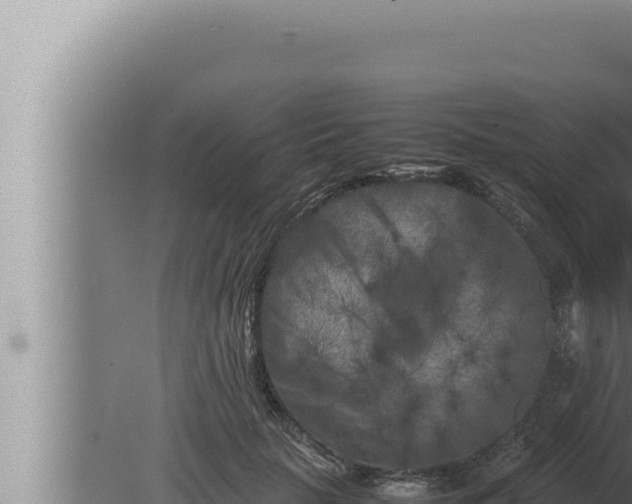 X0000080110653200612221806