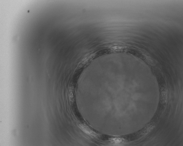 X0000080110654200612221806