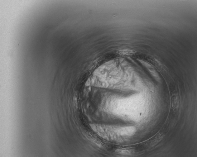 X0000080110655200612221806