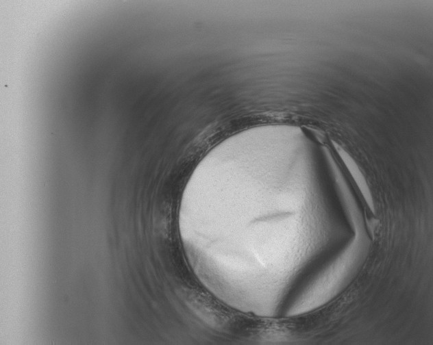 X0000080110656200612221806