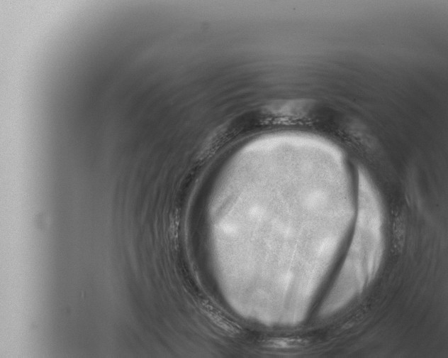 X0000080110657200612221806