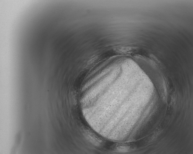 X0000080110658200612221806