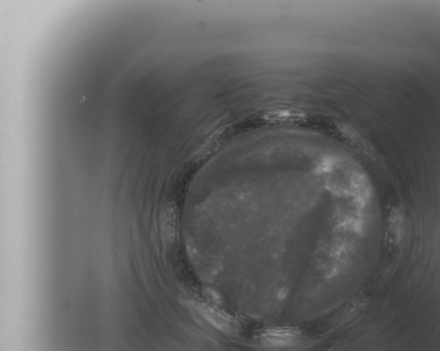 X0000080110659200612221806