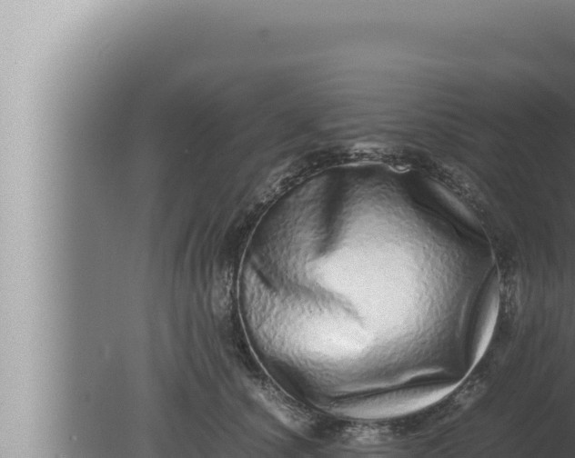 X0000080110660200612221806