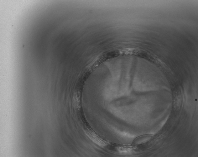 X0000080110661200612221806