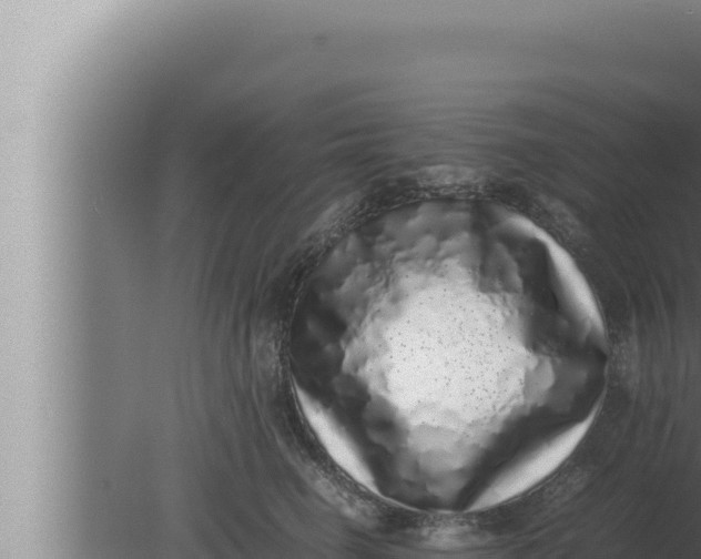 X0000080110662200612221806