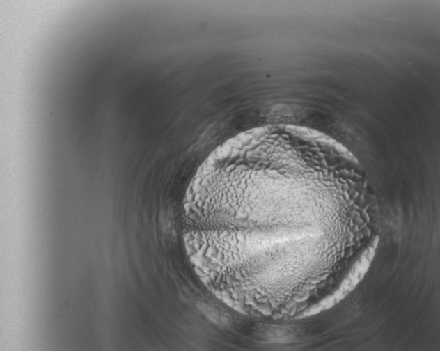 X0000080110663200612221806