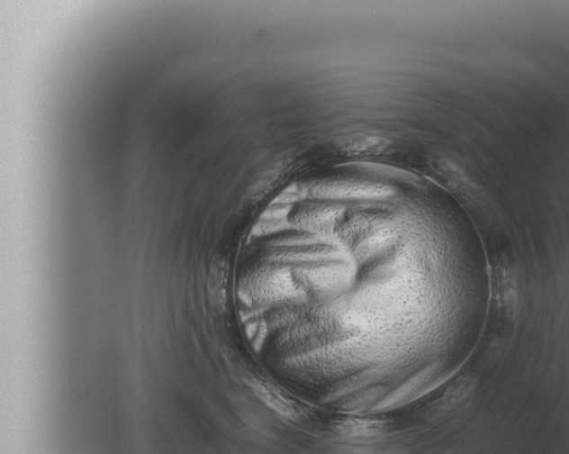 X0000080110664200612221806