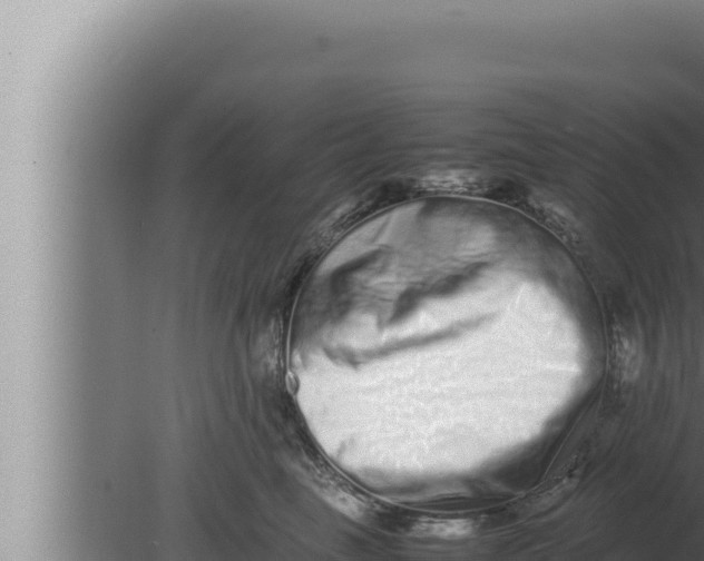 X0000080110665200612221806