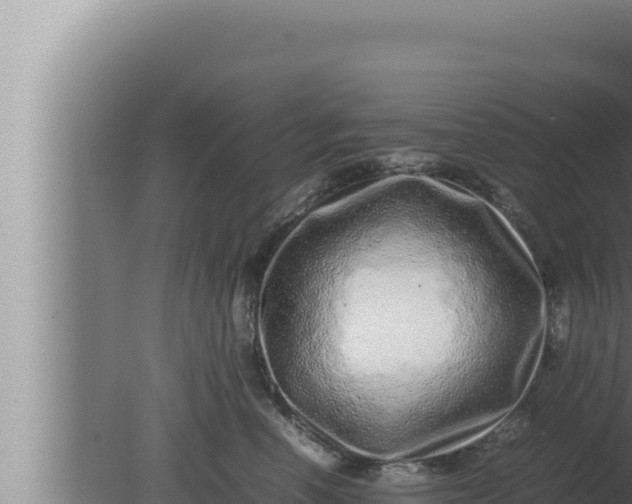 X0000080110666200612221806