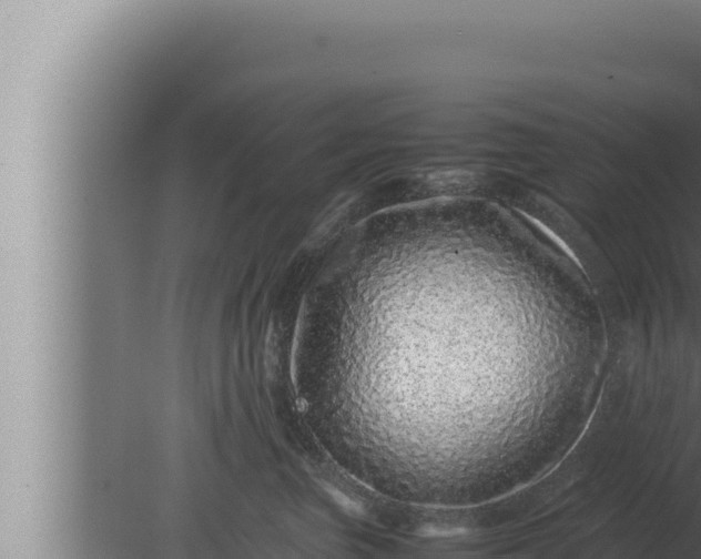 X0000080110667200612221806