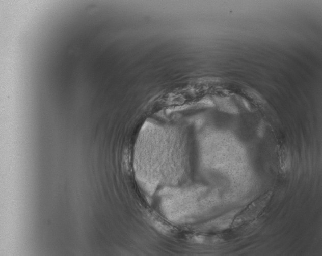 X0000080110669200612221806