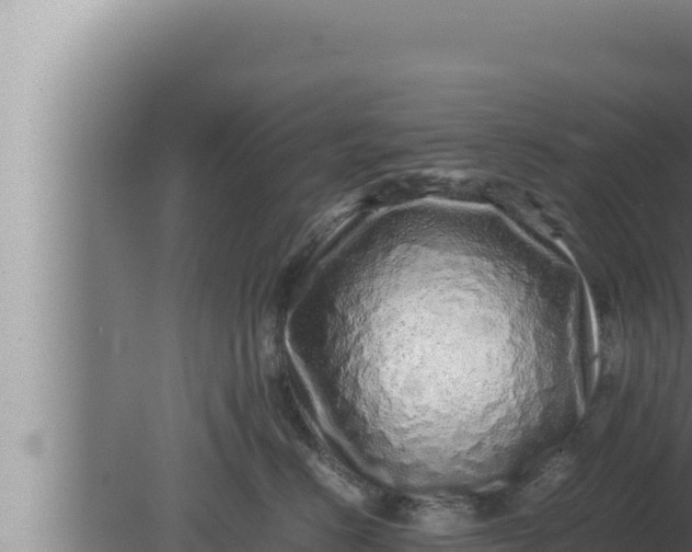 X0000080110670200612221806