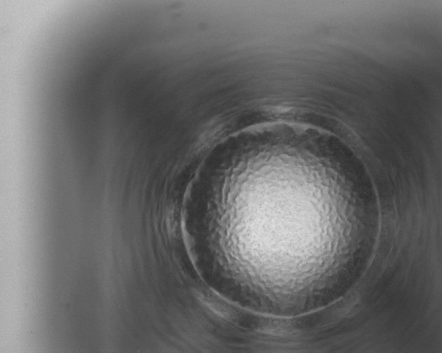 X0000080110671200612221806