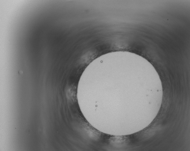 X0000080110672200612221806