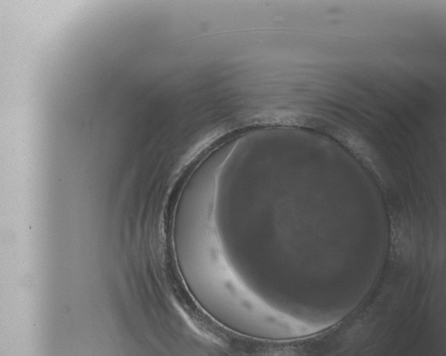 X0000080110674200612221805