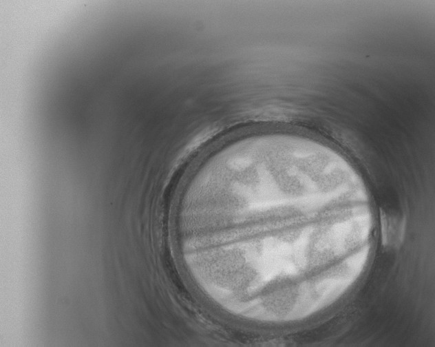 X0000080110675200612221805