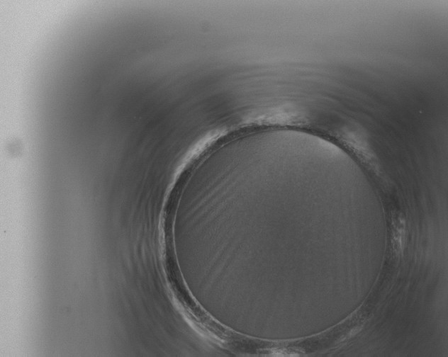 X0000080110678200612221805