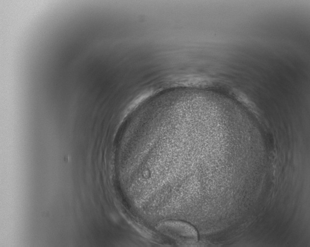 X0000080110679200612221805