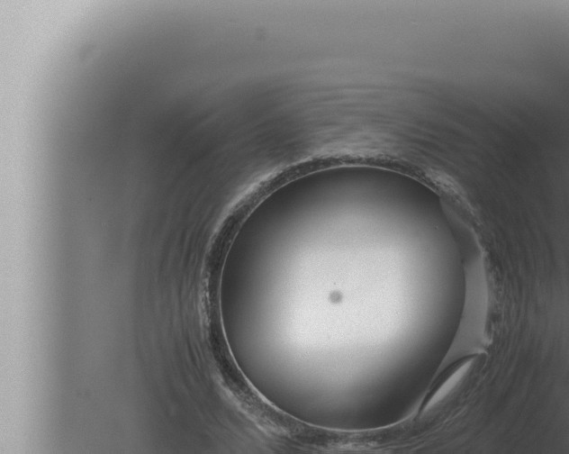 X0000080110680200612221805