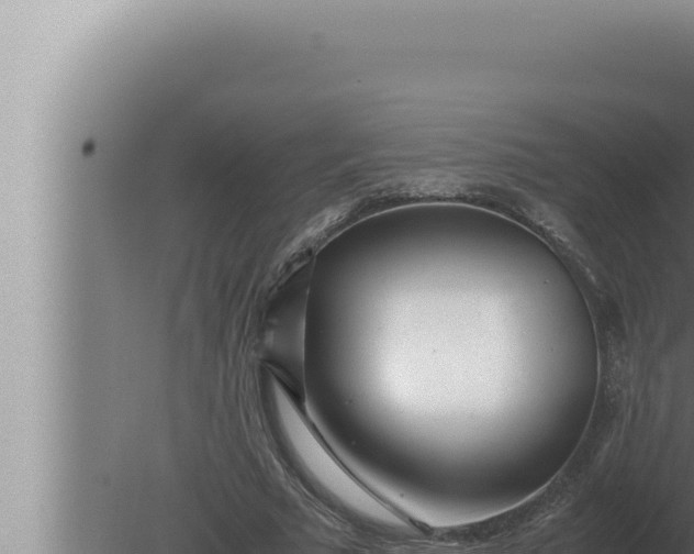 X0000080110681200612221805