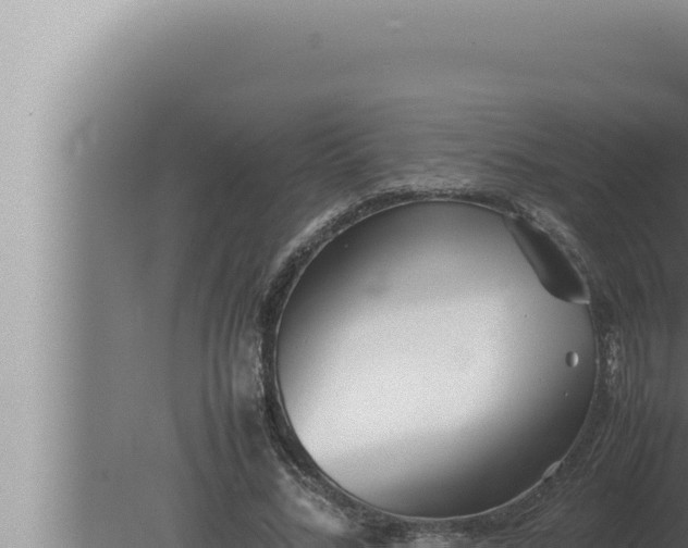 X0000080110684200612221805