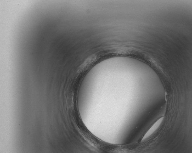 X0000080110685200612221805