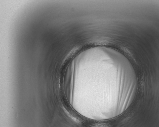 X0000080110686200612221805