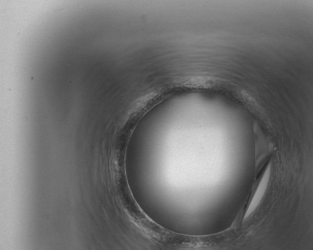 X0000080110688200612221805