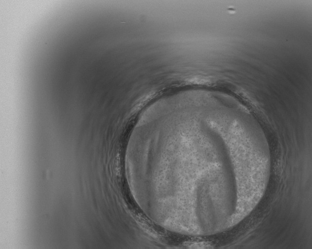 X0000080110689200612221805