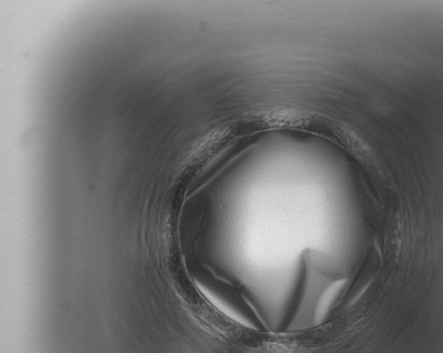 X0000080110690200612221805