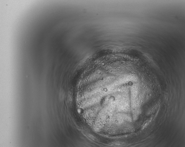 X0000080110691200612221805