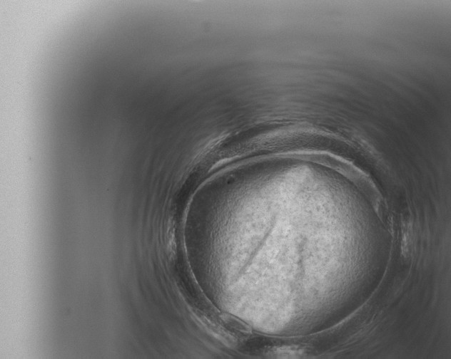 X0000080110692200612221805