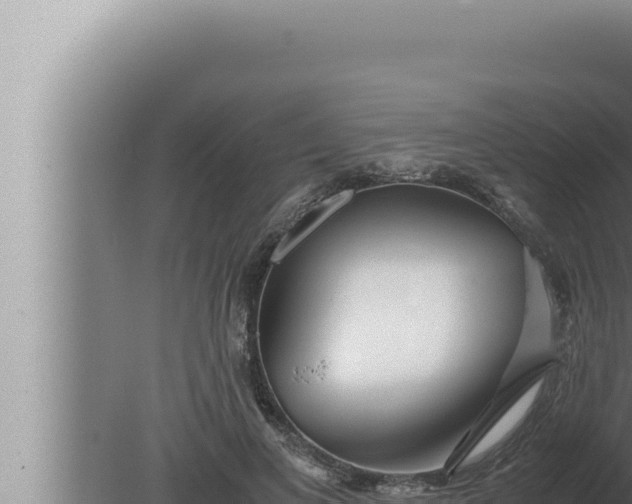 X0000080110693200612221805