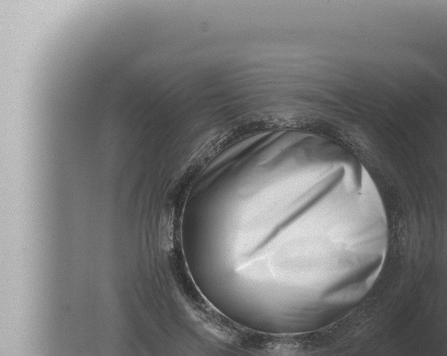 X0000080110694200612221805