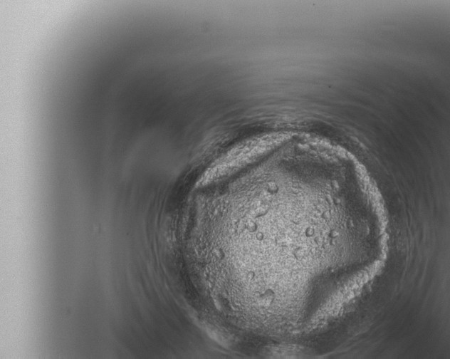 X0000080110695200612221805