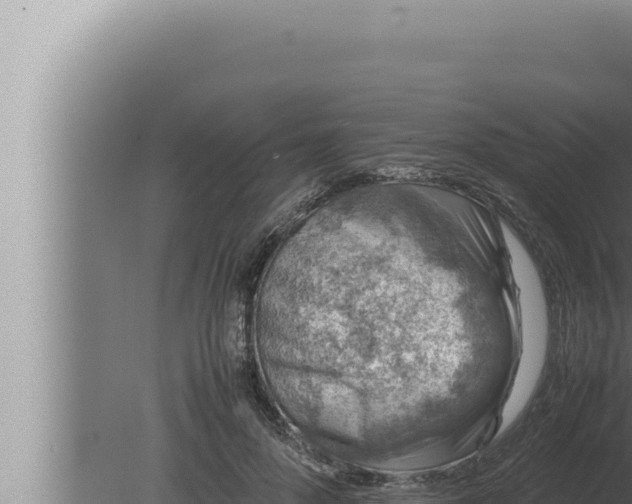 X0000080110696200612221805