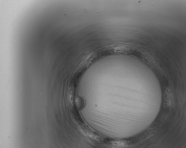 X0000080110698200612221805