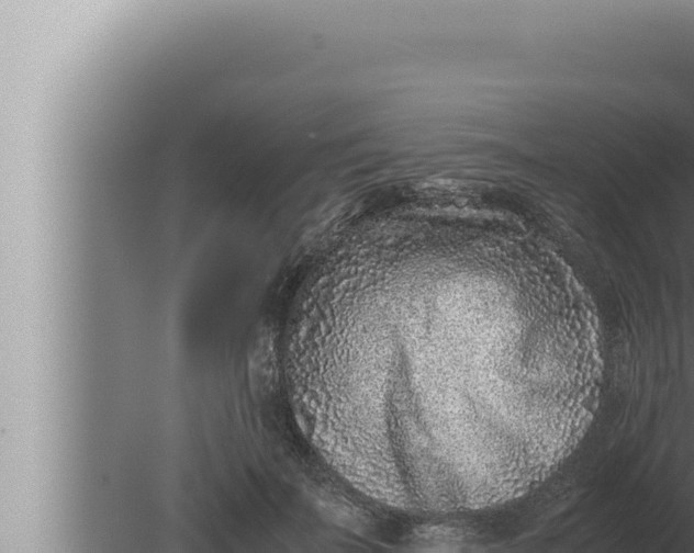 X0000080110699200612221805